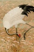 Plakat 20x30cm Sarus Crane, G.A. Audsley Japoński Vintage