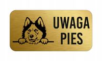 GRAWER Tabliczka laminat 20x10 cm UWAGA PIES Siberian husky różne wzory