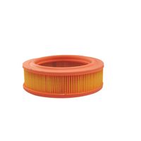 FILTR POWIETRZA DO FORD ENGINES 2200-Serie