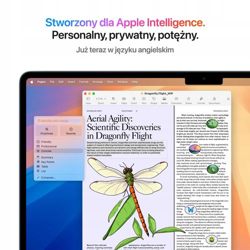 MacBook Air M4/32GB/512/Mac OS Błękitny 10R GPU Apple na Arena.pl