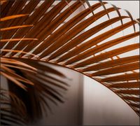 Tło do fotografii produktowej kulinarnej Flat Lay