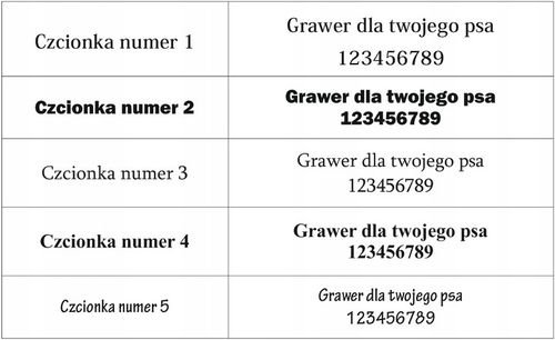 OBROŻA DLA PSA Z IMIENIEM GRAWEREM SKÓRZANA 33-41cm na Arena.pl