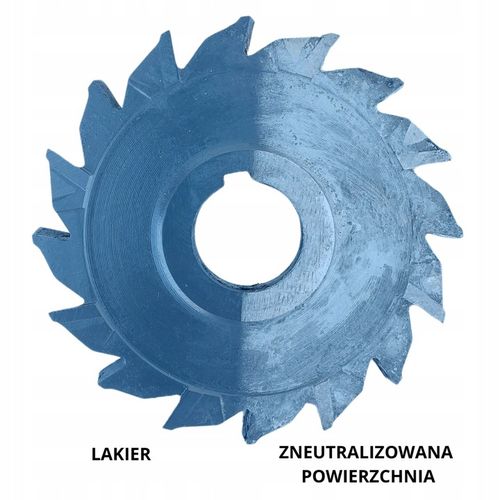 Neutralizator RDZY odrdzewiacz 1L Technus na Arena.pl