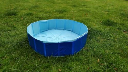 Basen dla psa dzieci do kąpieli ogrodu kojec 80x20 łatwy w użyciu na Arena.pl