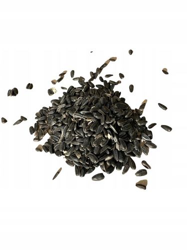 Słonecznik czarny 20 kg na Arena.pl