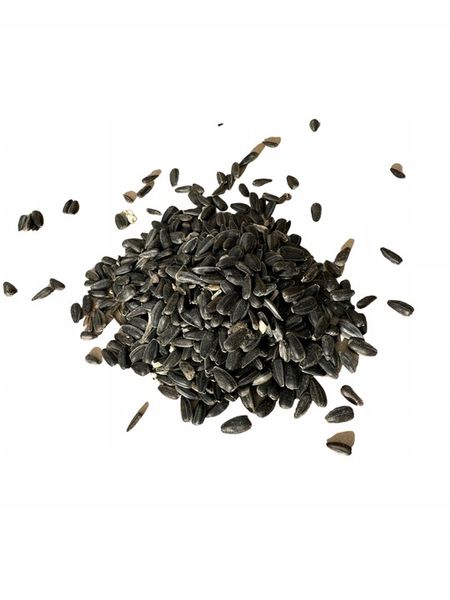 Słonecznik czarny 20 kg zdjęcie 8