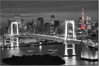 120CM 80CM OBRAZ ŚCIENNY TOKYO MOST TĘCZOWY