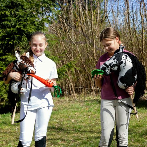 Smaczki Skippi dla Hobby Horse na Arena.pl
