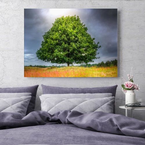 Obraz na płótnie - Canvas, Drzewo przed burzą 60x40 na Arena.pl