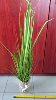 trawa w doniczce jutowej 90cm inf171