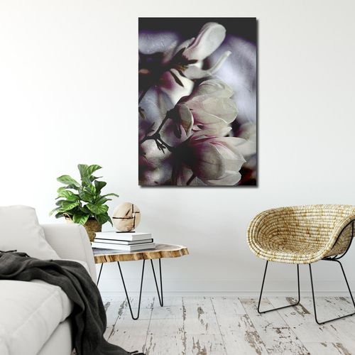Obraz na płótnie - Canvas, Pączki magnolii 40x60 na Arena.pl