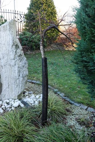 8 x Osłonka na Drzewka 1,1m Na Pień Zaciskowa Jabłoń Osłonki Do Pnia UV na Arena.pl