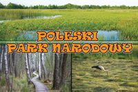 Poleski Park Narodowy – magnes