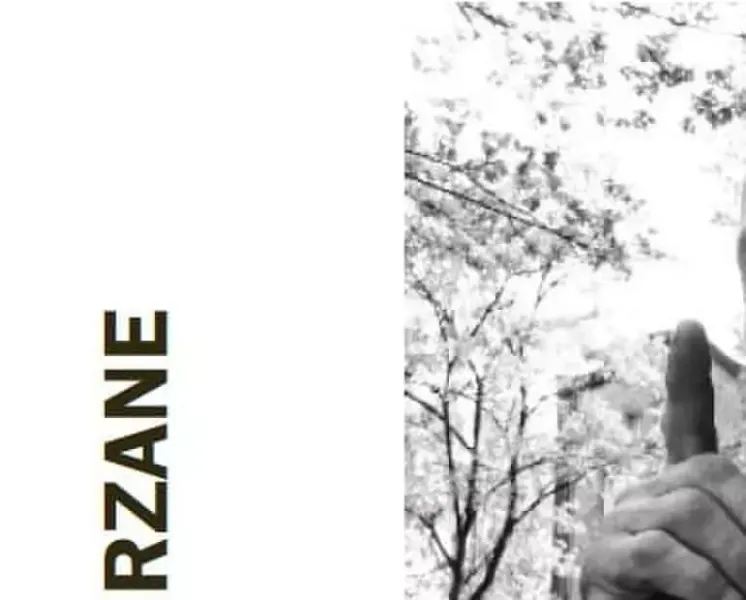 Życie podejrzane zdjęcie 1