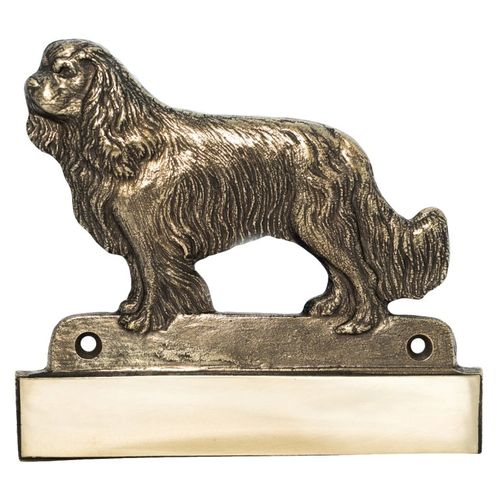 Cavalier King Charles Spaniel - tabliczka - 1671 na Arena.pl