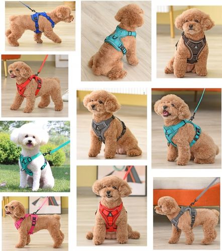 SZELKI BEZUCISKOWE TYPU GUARD + SMYCZ dla KOTA PSA na Arena.pl