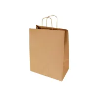 torba papierowa z uchw. skr. 22x10x30 cm 250 szt.