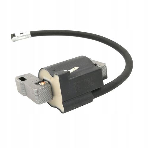 Cewka iskrownik Briggs Stratton 790817 843931 na Arena.pl