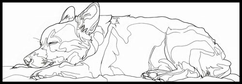 Plakat 91,5x30,5cm Śpiący Psiak na Arena.pl