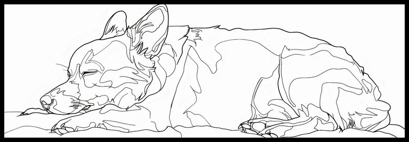 Plakat 91,5x30,5cm Śpiący Psiak zdjęcie 2