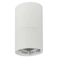 Spot LAMPA sufitowa DARIA ROUND 1W/W INQ okrągła OPRAWA natynkowa downlight tuba biała