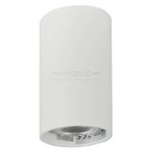 Spot LAMPA sufitowa DARIA ROUND 1W/W INQ okrągła OPRAWA natynkowa downlight tuba biała