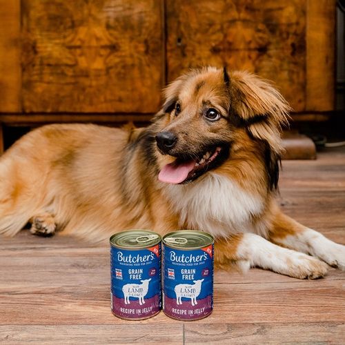 Butchers karma mokra dla psa jagnięcina 10x400g na Arena.pl