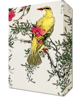 Obraz 20x30cm Chinese Bush-Warbler, Kashu Vintage do Salonu