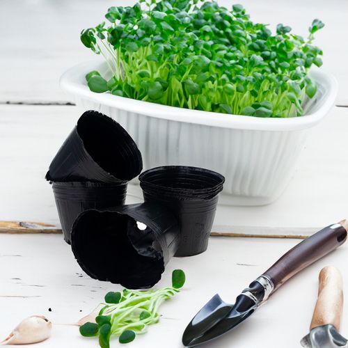 Doniczki Produkcyjne Do Rozsad Upraw Wysiewu Sadzonki 9X8,5 10Szt/Kpl na Arena.pl