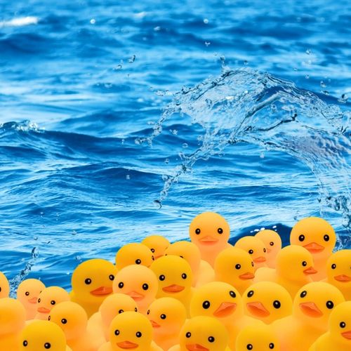 KACZKI Kaczuszki komplet 12 sztuk ŚMIESZNY ZABAWNY PREZENT PISZCZAŁKA na Arena.pl