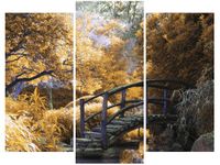 product-compare-58672087