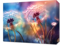 Obraz 50x40cm Delikatna Magia