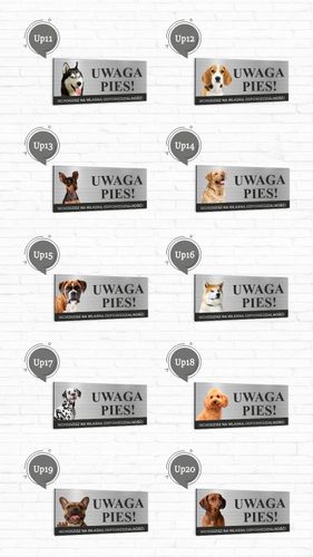 Tabliczka UWAGA PIES CAVALIER KING CHARLES SPANIEL na Arena.pl