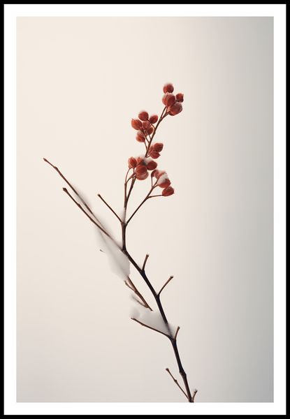 Plakat 61x91,5cm Subtelna Siła Zimy zdjęcie 3