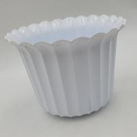 osłonka muszelka 9 cm biała - 20 szt