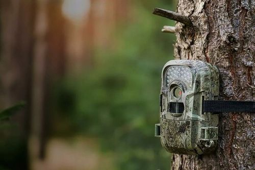 Akumulator Xtar R6 / AA 1,5V Li-ion 2700mAh z zabezpieczeniem - 4 na Arena.pl