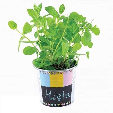 Farba Tablicowa 200 ml Czarna na Arena.pl