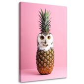 Obraz do pokoju dziecka salonu, Abstrakcja Sowa Ananas na rózowym