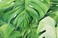 product-compare-59343961