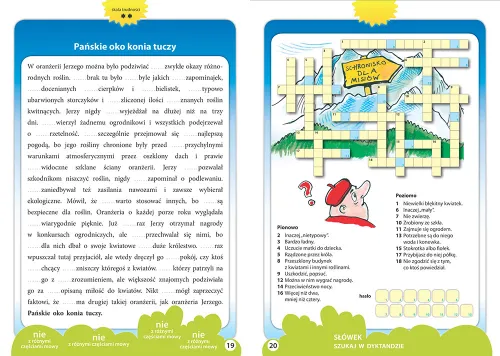 Dyktanda Z Przysłowiami Do Klasy 6 na Arena.pl
