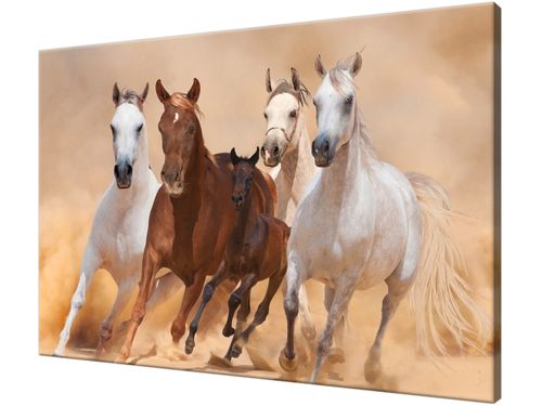 Obraz drukowany na płótnie canvas 120x80 + GRATIS na Arena.pl
