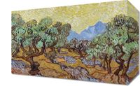 Obraz 30x20cm Olive Trees, Van Gogh Vintage do Salonu