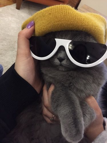 OKULARY DIMIDIUM kolory - BIAŁY na Arena.pl