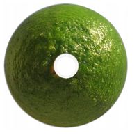 Nadruk na płycie Maxell DVD-R 4,7G 16x 016