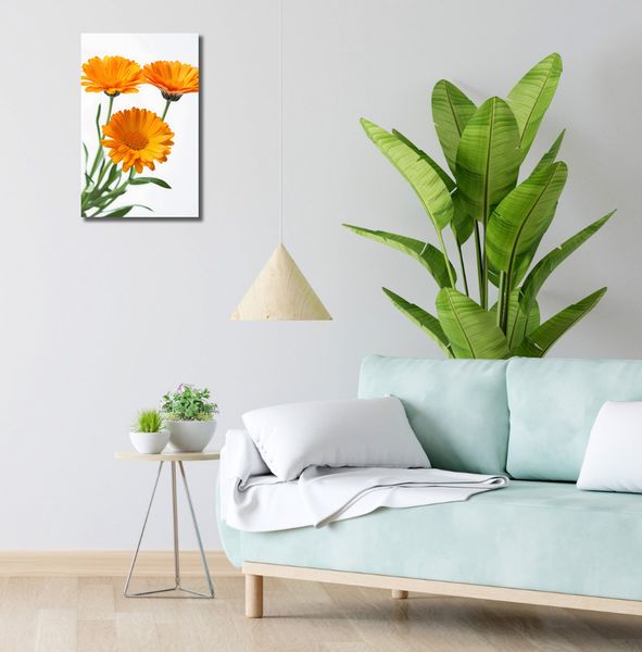 Obraz 30x50cm Słoneczne Kalendule zdjęcie 2
