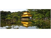 100X40CM ZŁOTY DOMEK MITH HUANG OBRAZ DREWNO