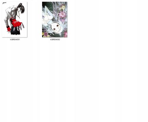 Plakat The Breaker DO WYBORU na Arena.pl