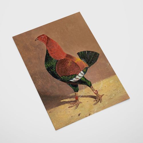 Plakat kura ilustracja 29,7x42 cm A3 na Arena.pl