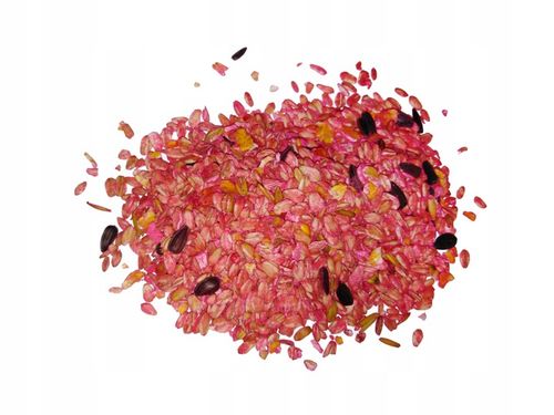 Trutka, trucizna na myszy i szczury SILNA MIX na Arena.pl