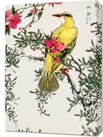 Obraz 50x70cm Chinese Bush-Warbler, Kashu Vintage do Salonu